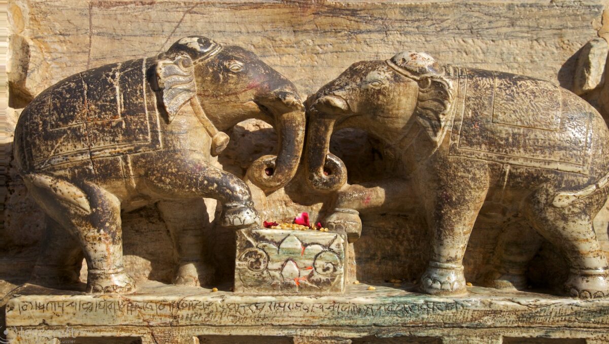 two elephants / jagadish temple, udaipur, india