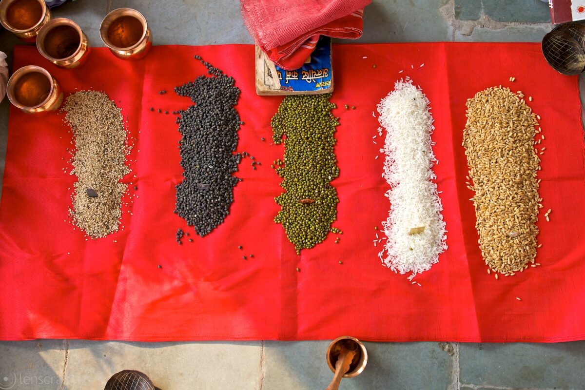 offerings of grains & lentils / udaipur, india