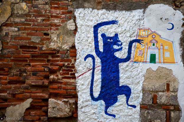 the dancing cat and the moon / cartagena, colombia