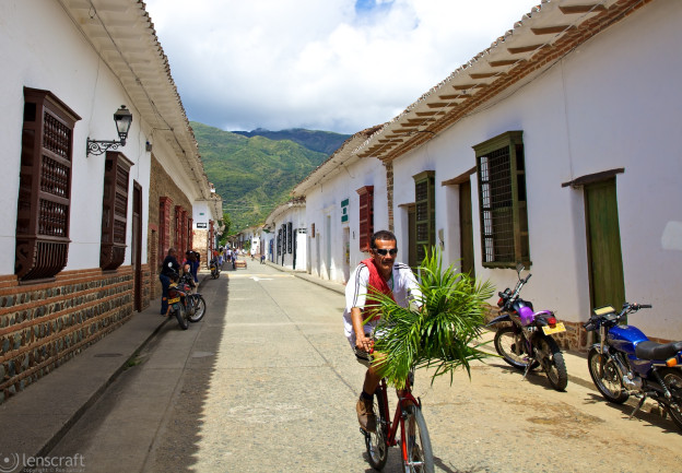palm cyclist / santa fe de antioquia, colombia