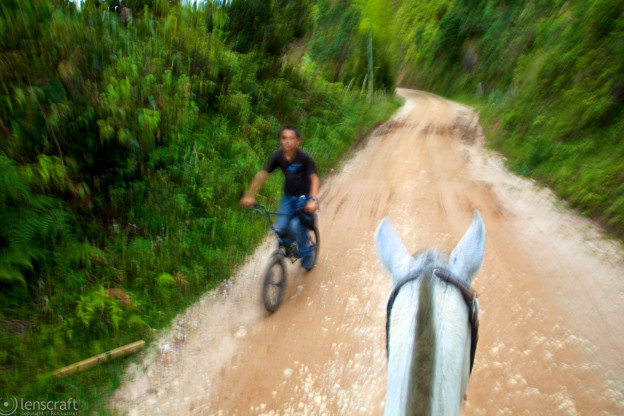 horse vs. cycle / guatapé, colombia