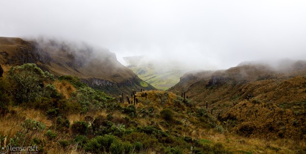valley of the monks / los nevados, colombia