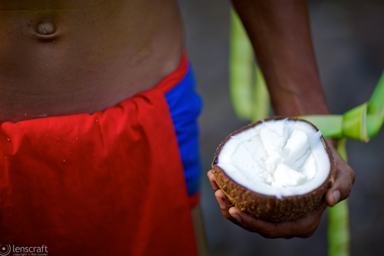 an offer of coconut / yap, micronesia