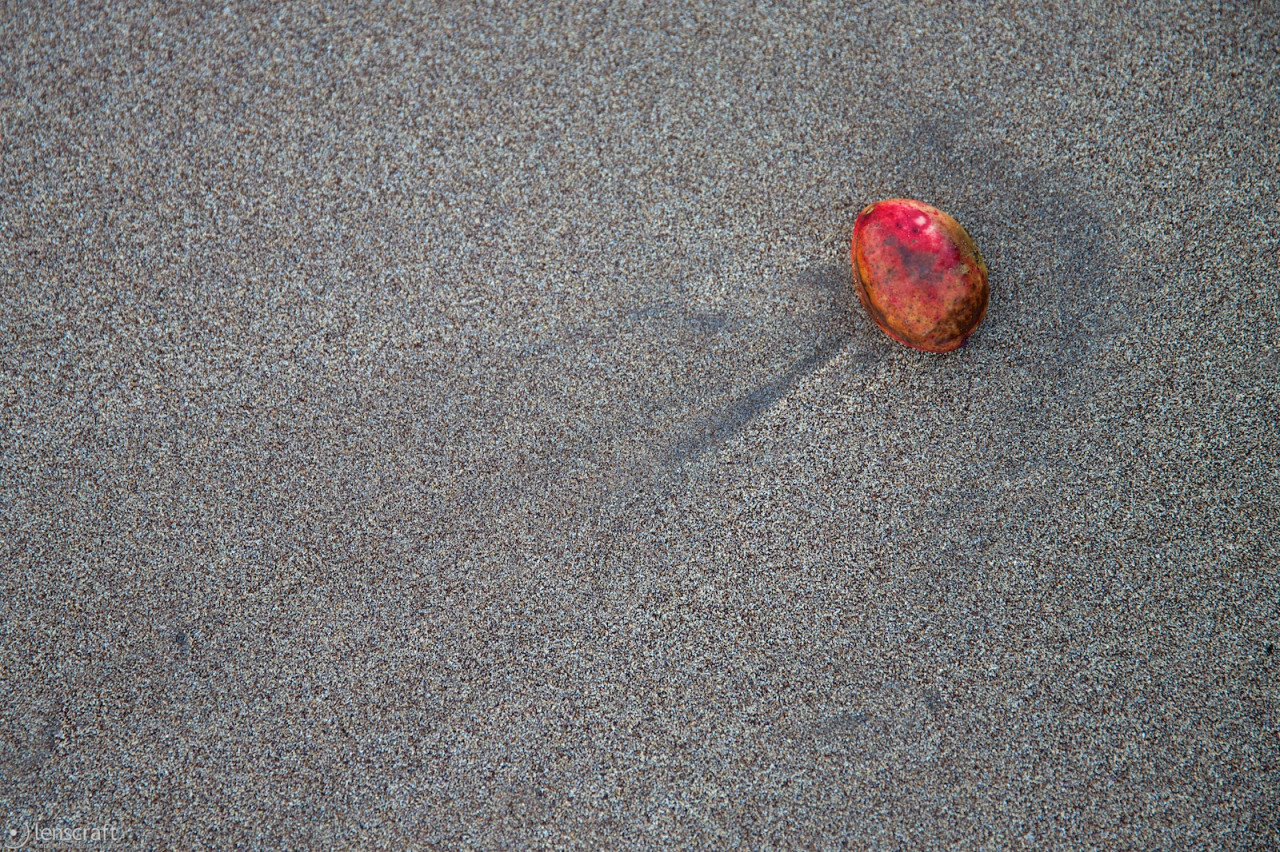 beach fruit / hana, hawaii