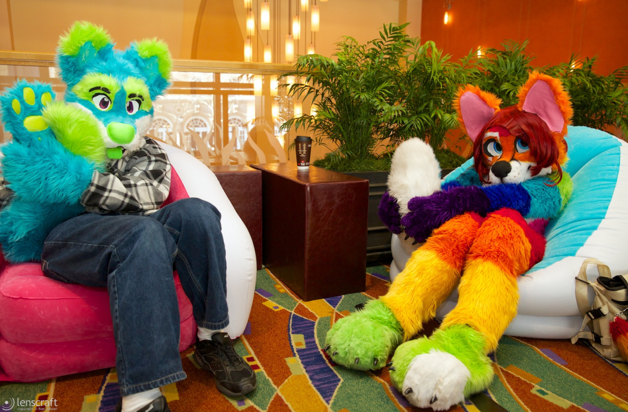 lounging in technicolor / further confusion 2014