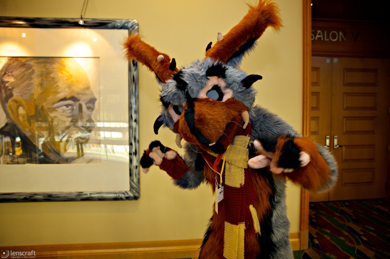 rodent / further confusion 2014
