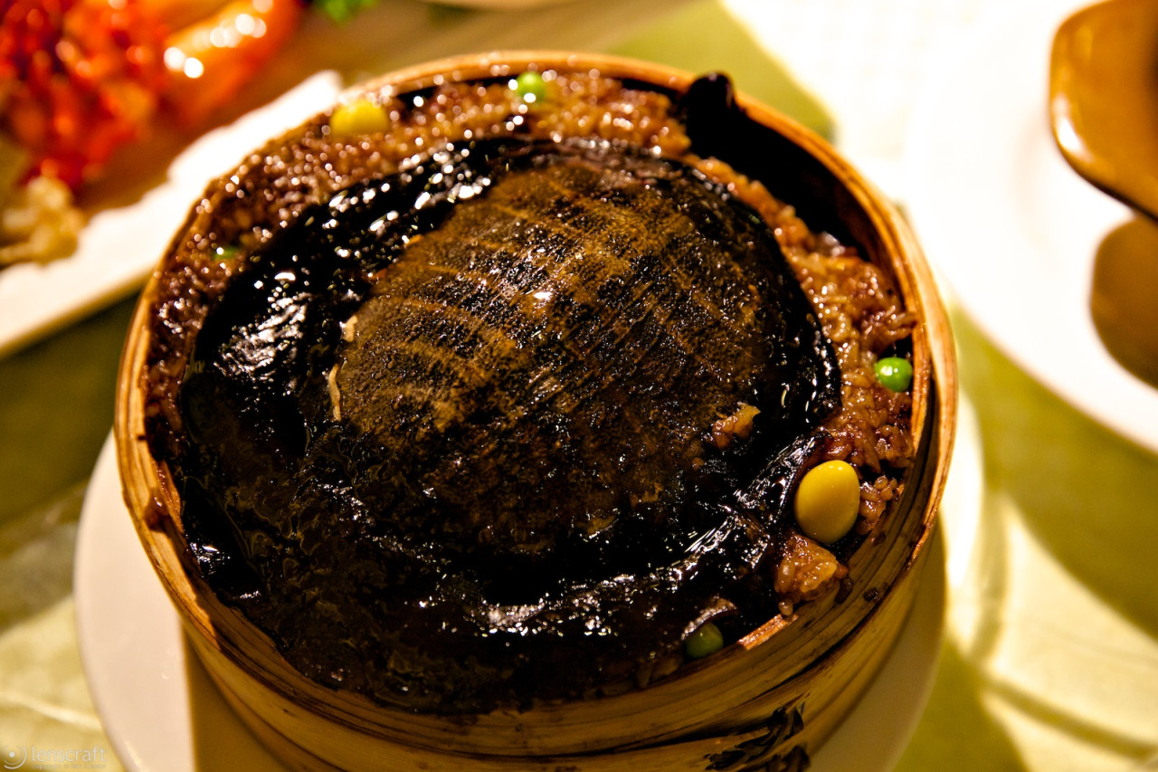 turtle in sticky rice / shanghai, china