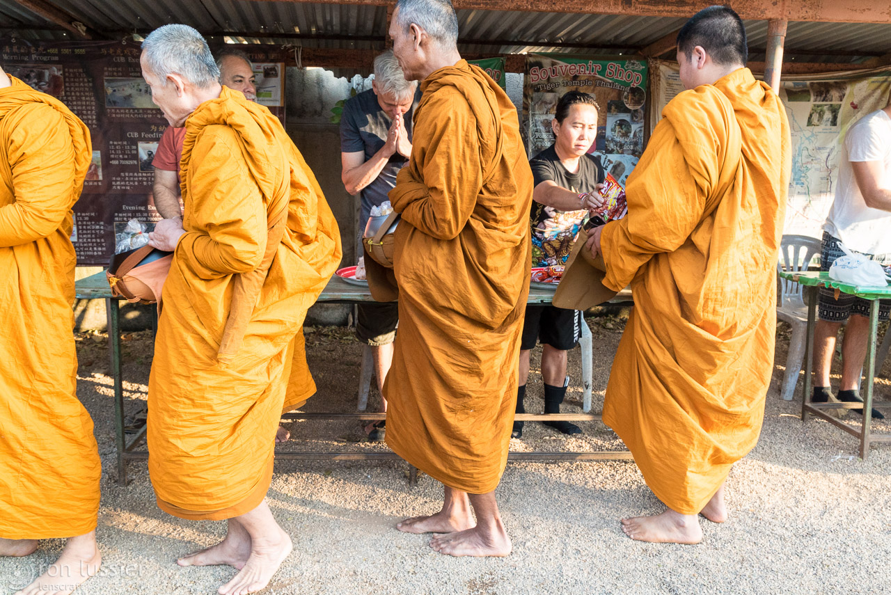 monk chorus line / wat pha luang ta bua, thailand