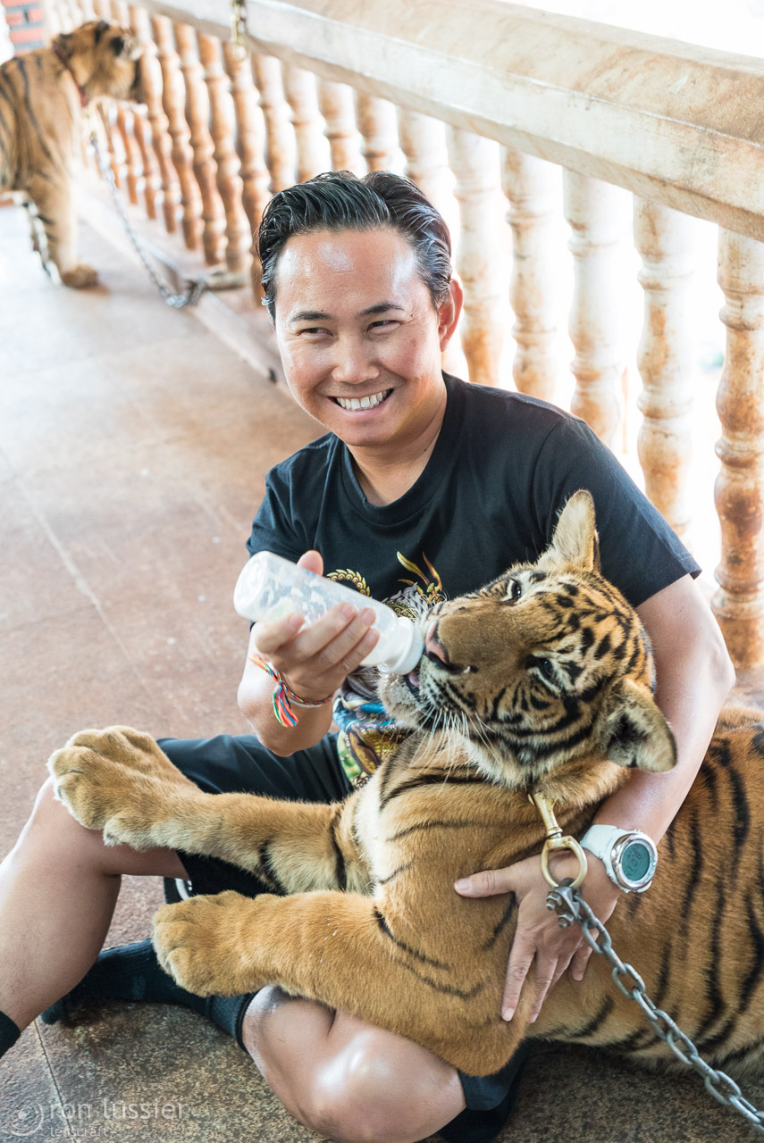 bobby & the tiger / wat pha luang ta bua, thailand